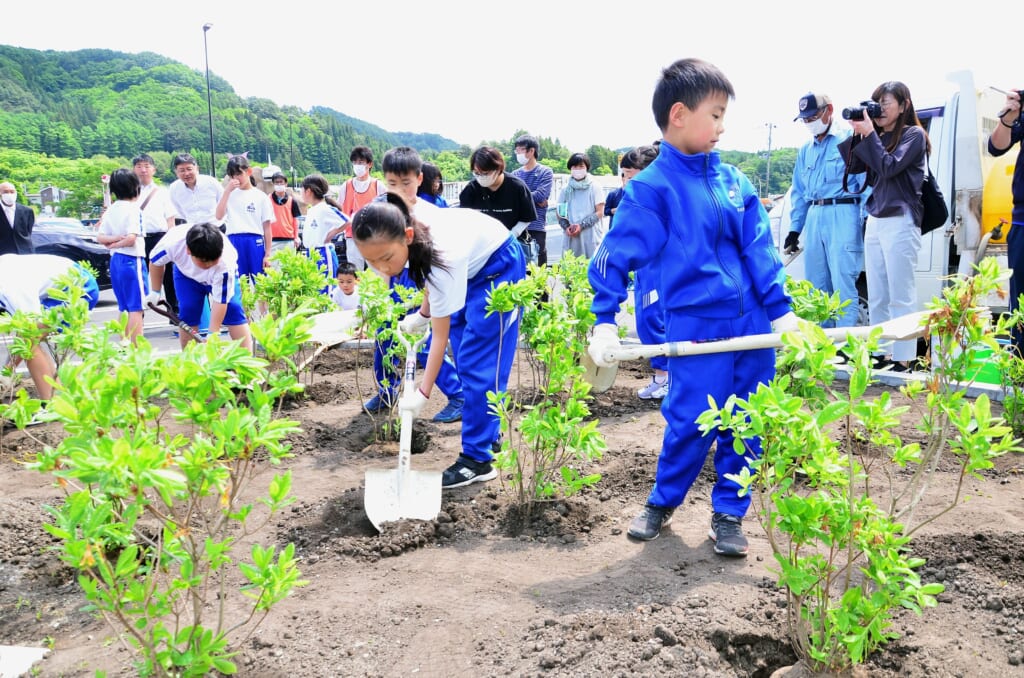 植樹活動団体 – 木を植える活動 日本 – QCVV