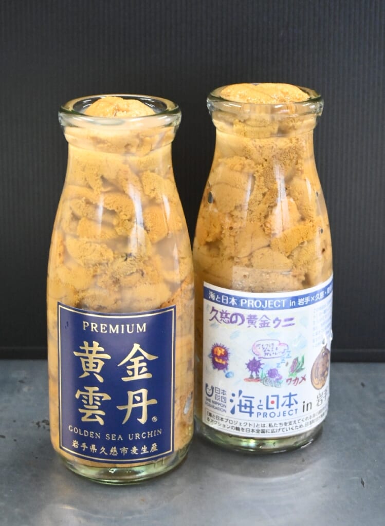 久慈・蓄養ウニ「黄金雲丹」出荷抑制 27日に盛岡・神子田朝市で限定